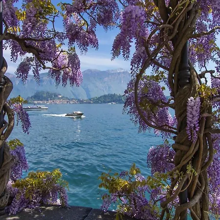 Casa Tulipano Grande Διαμέρισμα