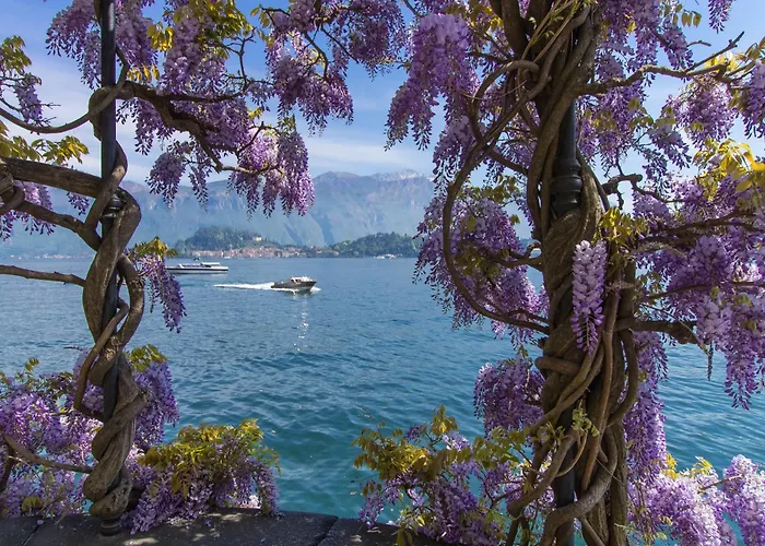 Lejlighed Casa Tulipano Grande Faggeto Lario